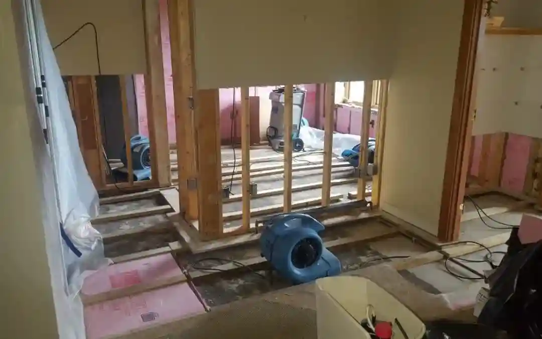 WDR PRO’s - Water Damage Restoration Service